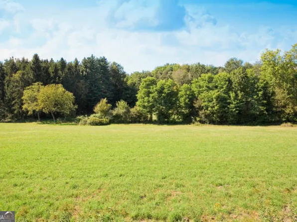 0 Tanners Bridge Cir, Bethlehem, GA 30620