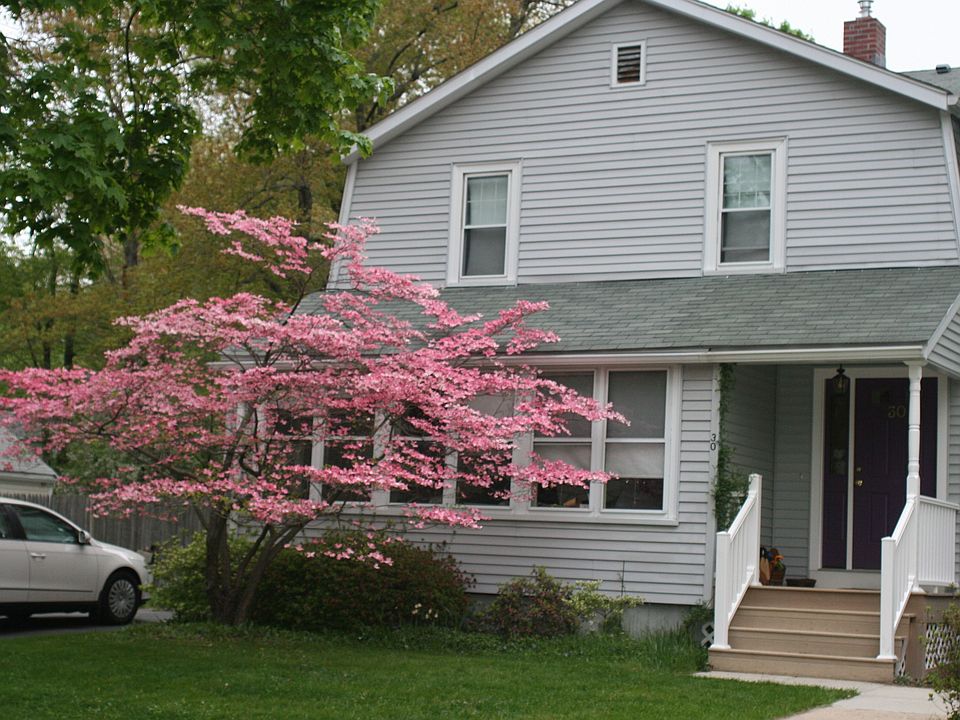 front view 1