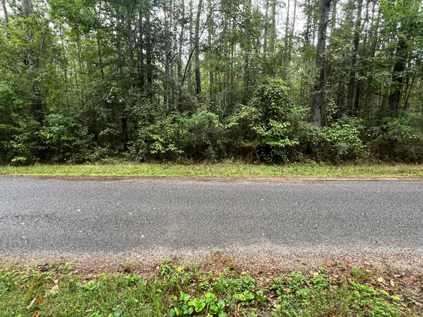 0 C L Slade Rd, Brooklyn, MS 39425