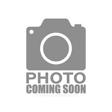 666 Spadina Ave #410 Photo 1