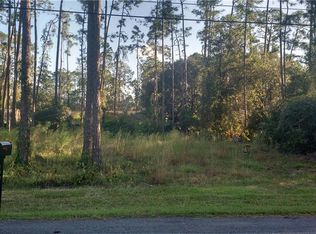 14322 Conifer Dr, Orlando, FL 32832