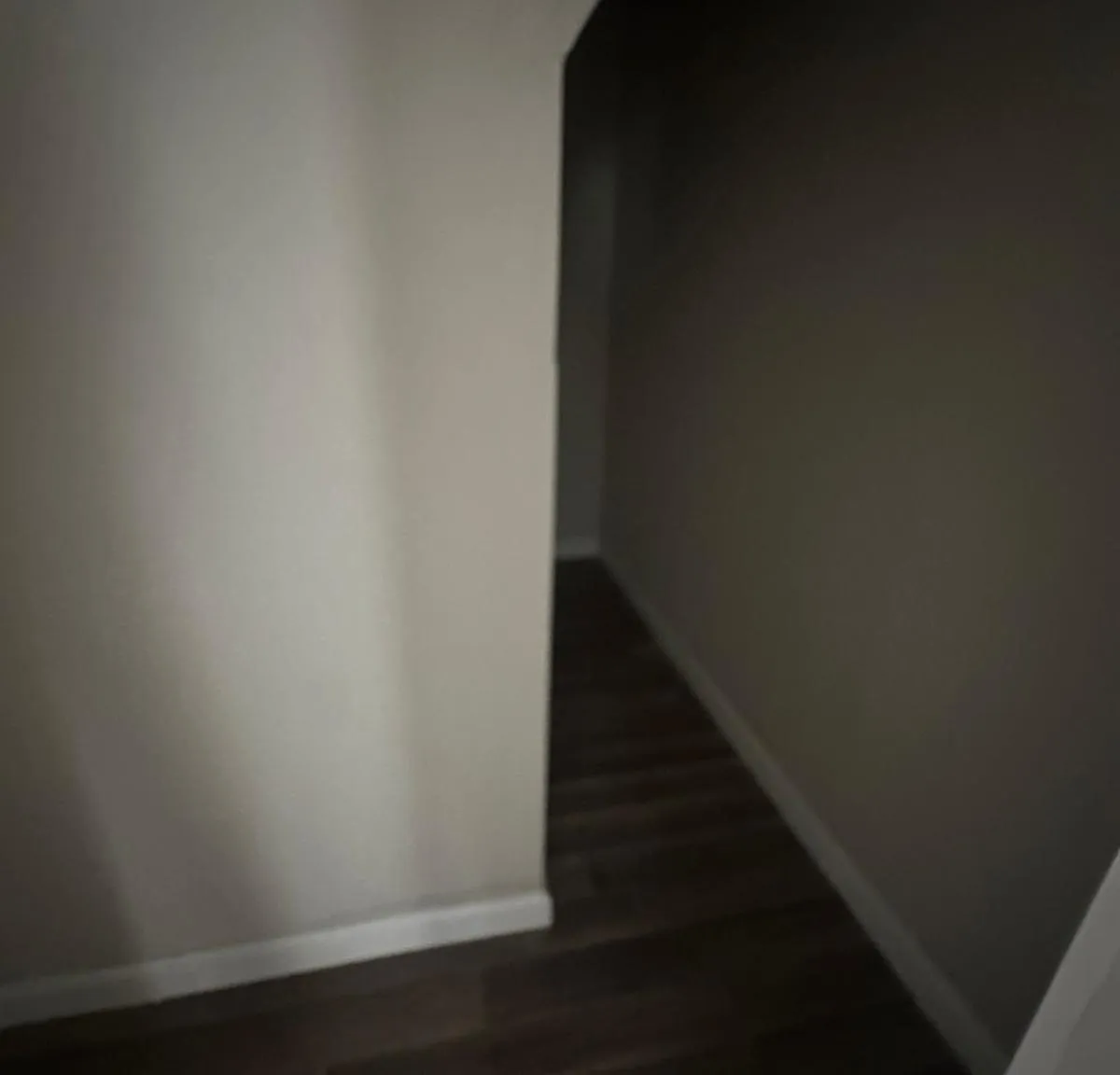 4 bed, 1400 sqft, $3,000 — Photo 2