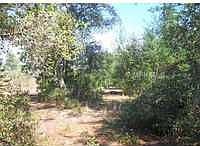 1st image of 1840 13th St