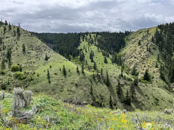 3 Tyee View Loop, Orondo, WA 98843
