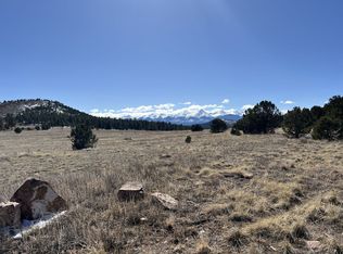 0 L Path, Cotopaxi, CO 81223