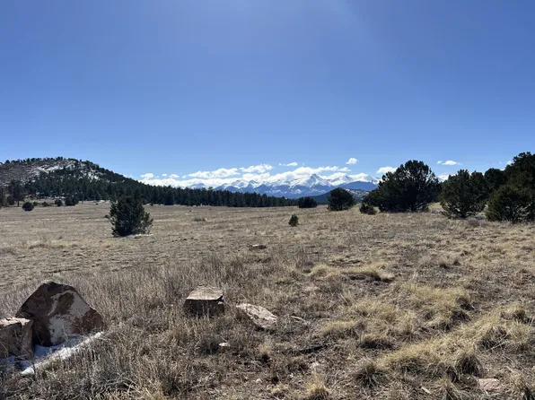 0 L Path, Cotopaxi, CO 81223