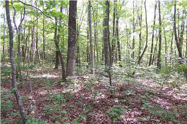 1st image of 1500 Choctaw Trl