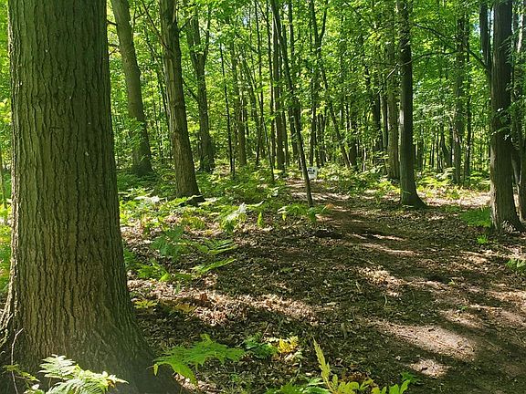 4th image of 8204 Partridge Woods