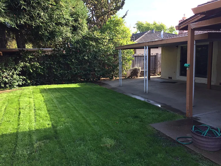 Backyard and patio