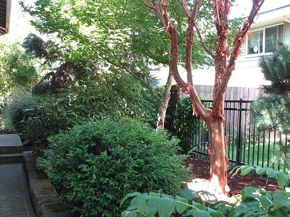 Beautifully landscaped for privacy and pleasure!