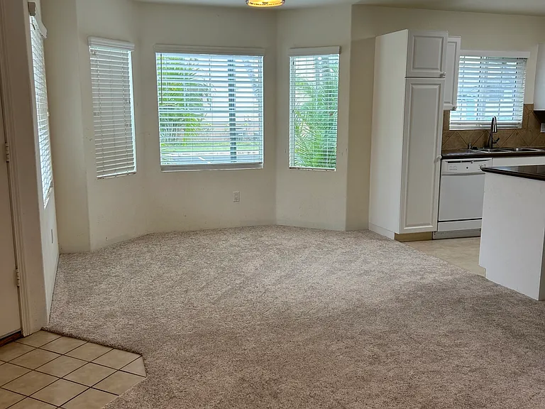 New Carpet