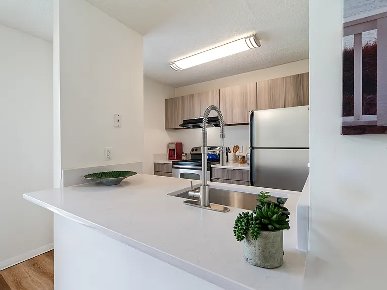 Newly Renovated Kitchens!