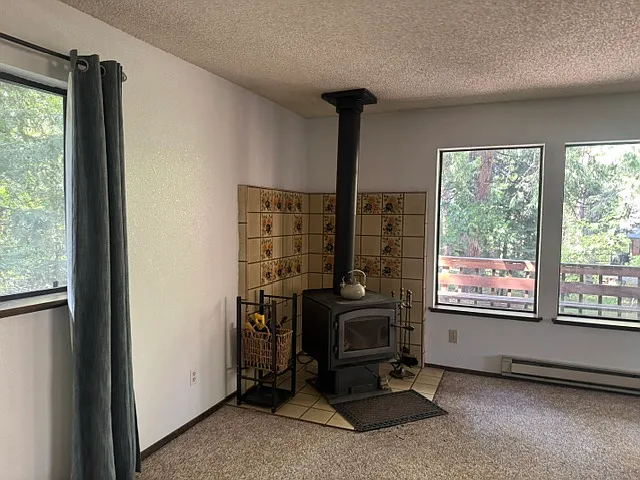 42019 Saddleback Rd — Photo 4