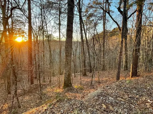 681-682 Julep Cir, Ellijay, GA 30540