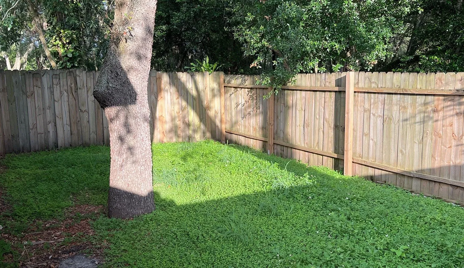 Newly Remodeled 3-Bedroom, 2-bathroom with garage for rent Near Busch Gardens & USF! — Photo 3