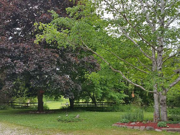 view from front door