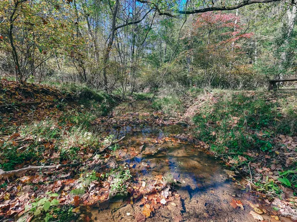 0 Perennial Ln, Goode, VA 24556