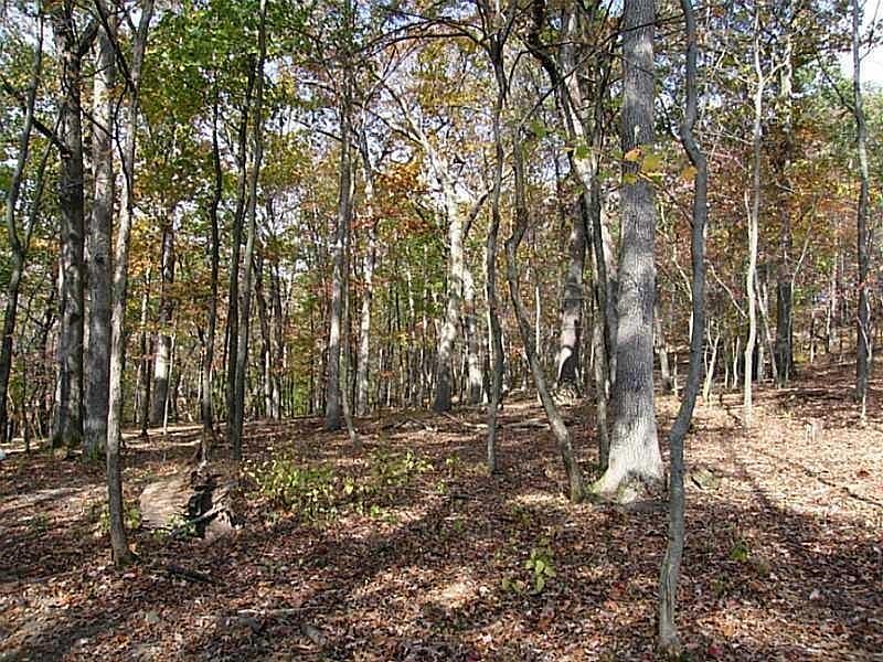 2nd image of 3512 Regent Ct Lot 6