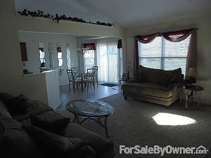 Living Room : Vaulted Ceilings
