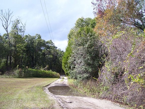 5th image of 10811 SE 225th Dr