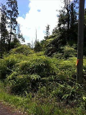 1st image of 13th Ave Lot 1170