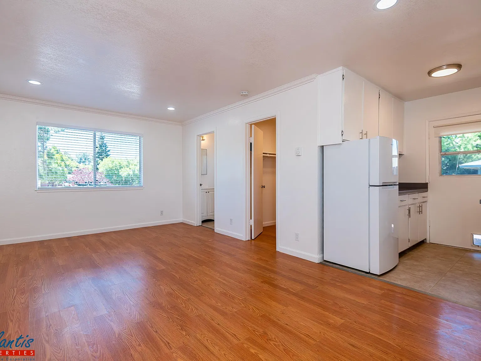 Studio, 425 sqft, $1,945 — Photo 3