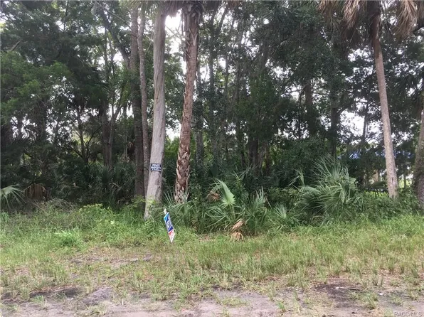 5665 S Sea Otter Path, Homosassa, FL 34448