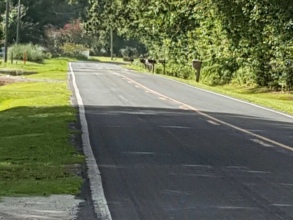 2nd image of 664 Robersonville Rd