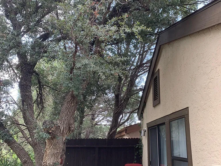 1413 Coyote Rd — Photo 15