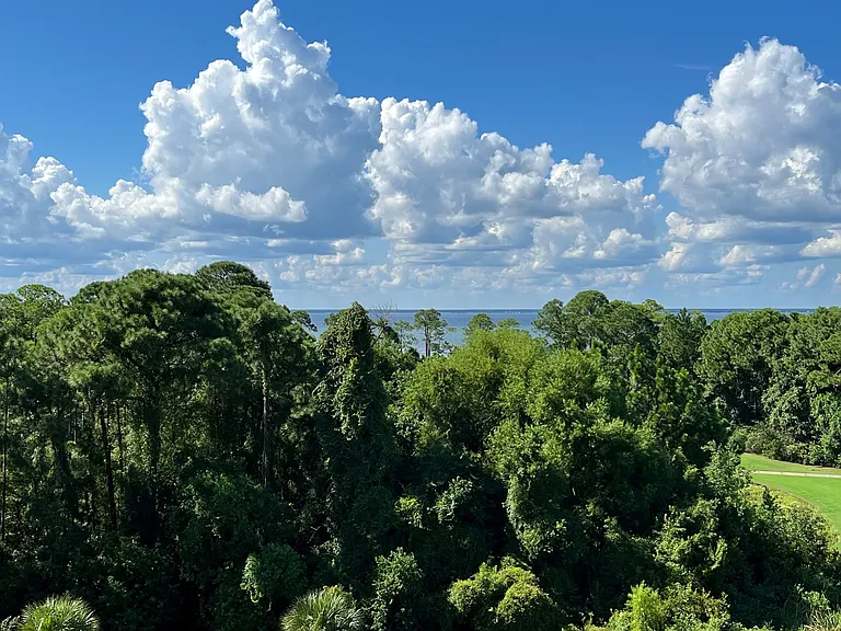 Distant bay view from balcony