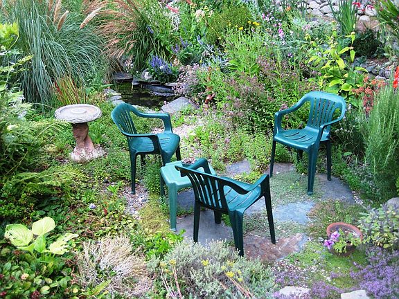 back yard, landscaped