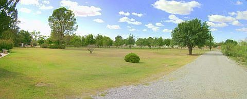 Pecan trees on watering system