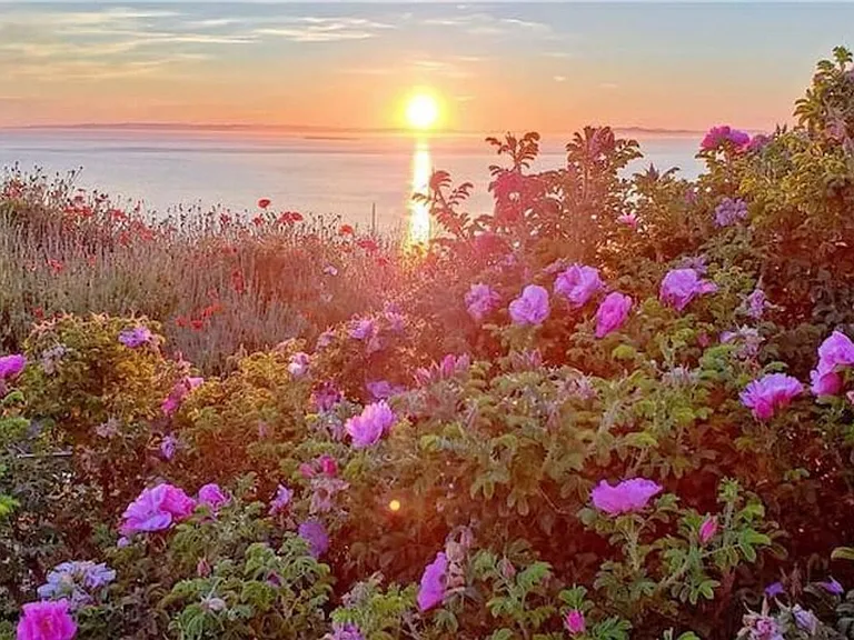 Window View