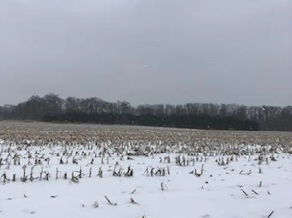 15682 Monkey Run St, Vandalia, MI 49095