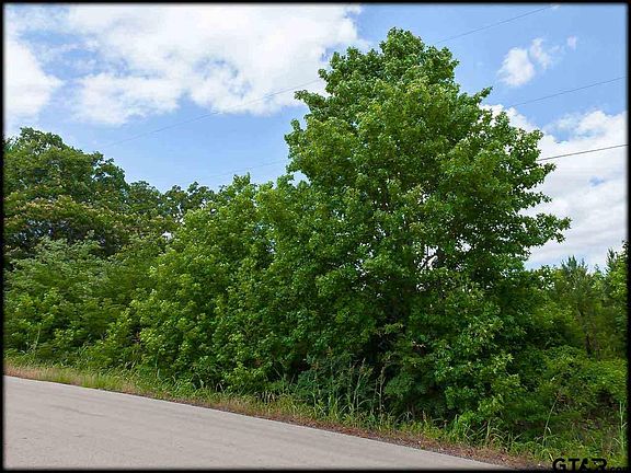 2nd image of LOT 61 Blackberry Dr