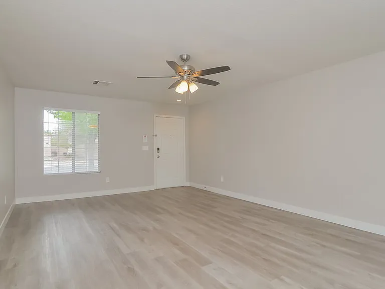 705 Orchid Tree Ln — Photo 5