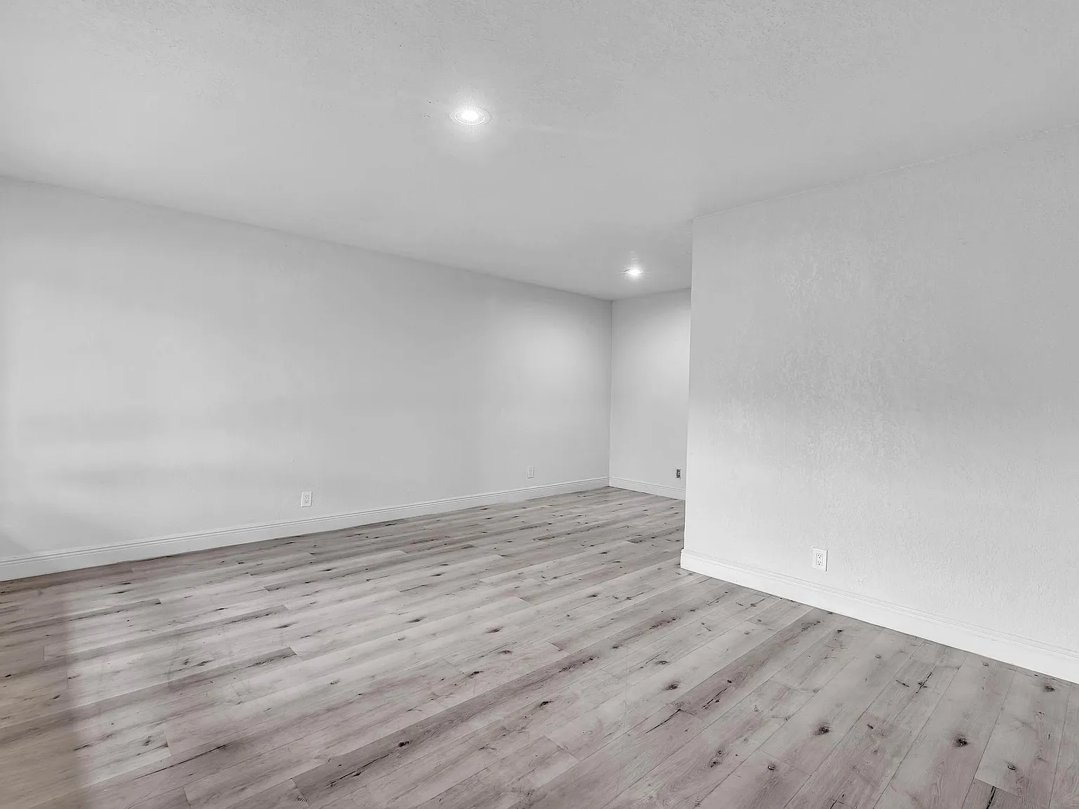1 bed, 700 sqft, $1,595 — Photo 4