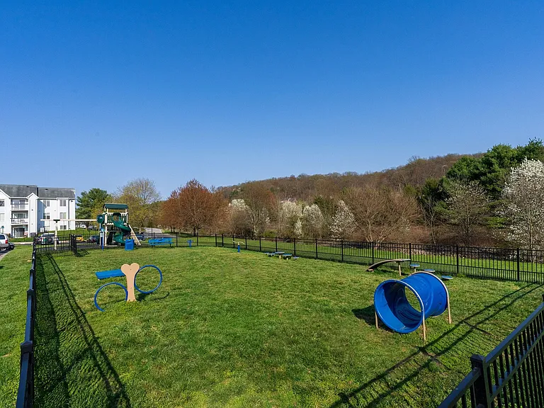 Dog Park