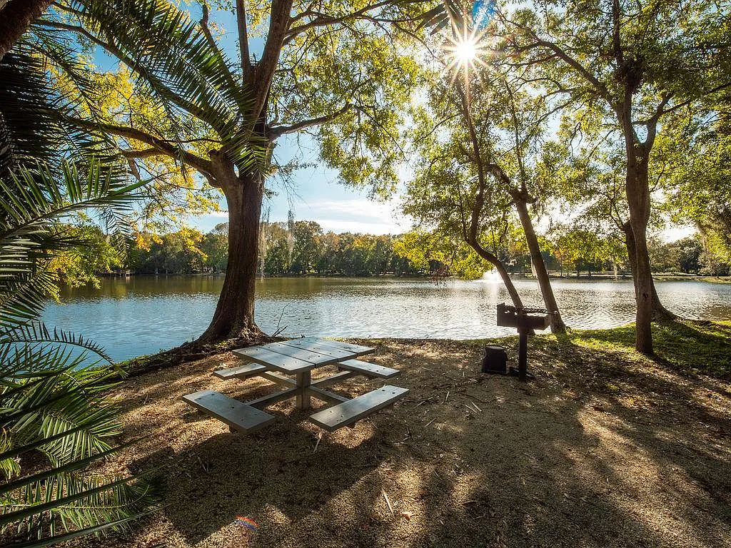 Grande Oasis at Carrollwood — Photo 4