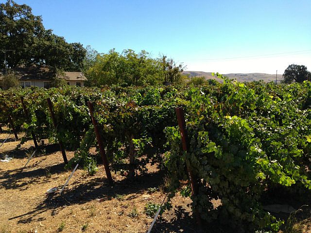 2nd image of 3115 Pacheco Pass Hwy