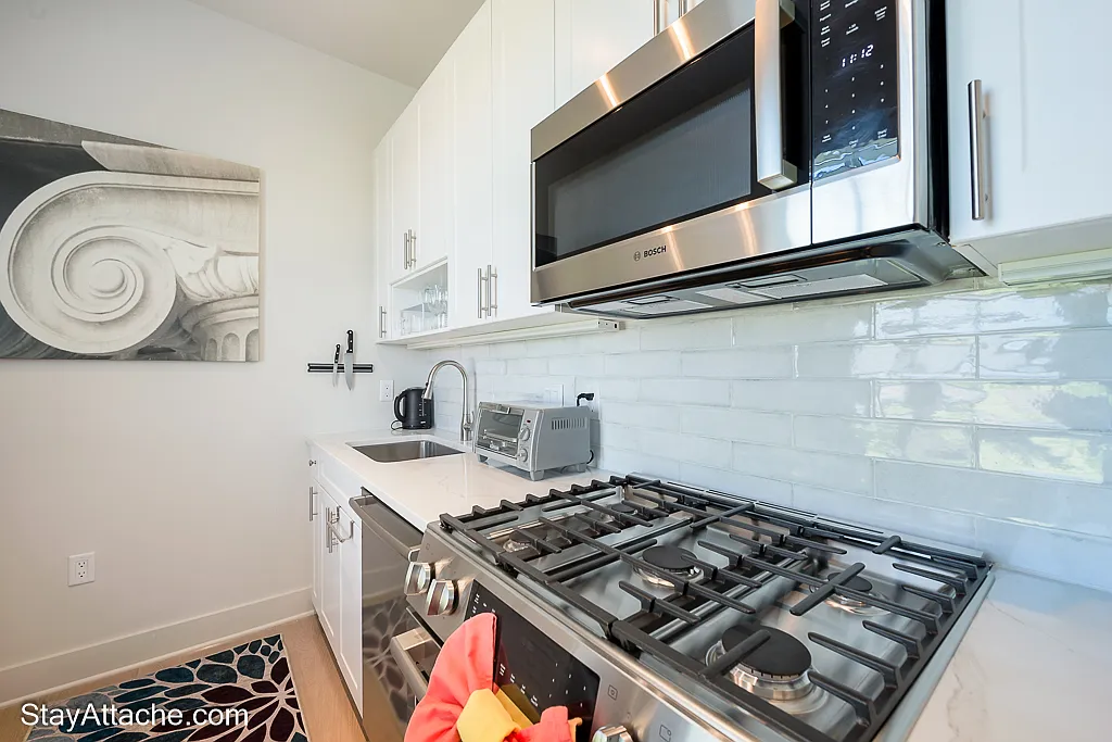 1 bed, 518 sqft, $3,120 — Photo 3