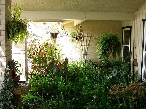 front shadow garden