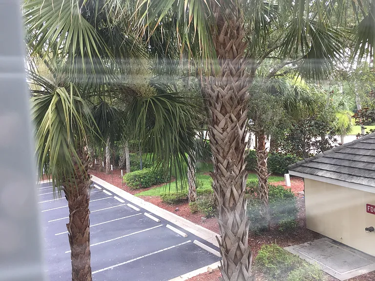 View from Living Room and Patio
