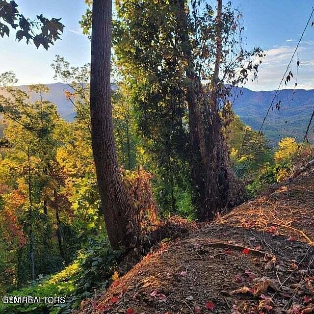 1st image of 0 Scenic Trl
