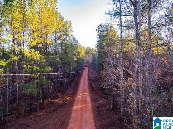 0 County Road 201, Wedowee, AL 36278