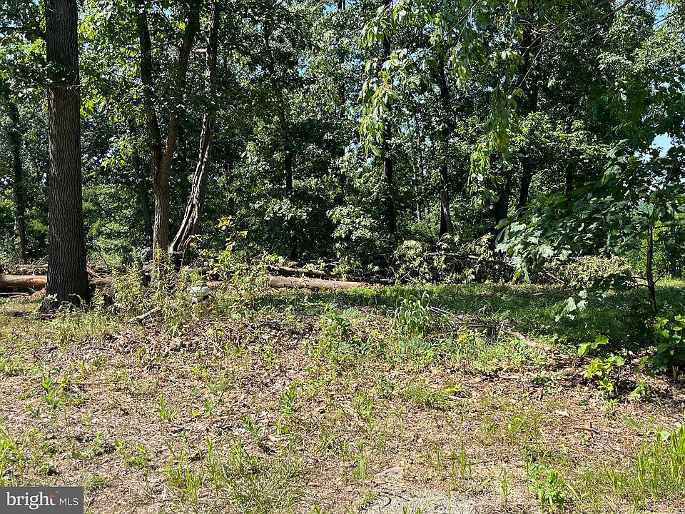 2nd image of LOT 1 Madelyn Dr