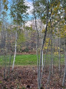 Timberline Dr, Grand Rapids, MN, 55744