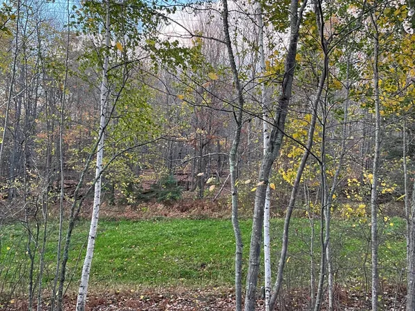 Timberline Dr, Grand Rapids, MN 55744