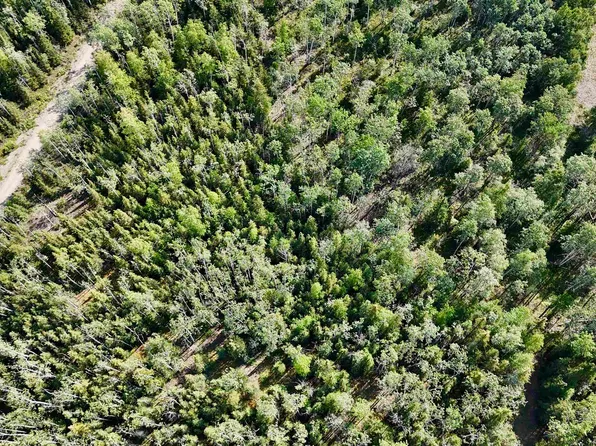 L8 Bc Schlecht Drive Block C Schlecht Dr Lot 8, Delta Junction, AK 99737