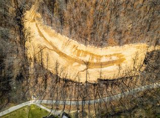 585 Cow Branch Rd, West Liberty, KY 41472